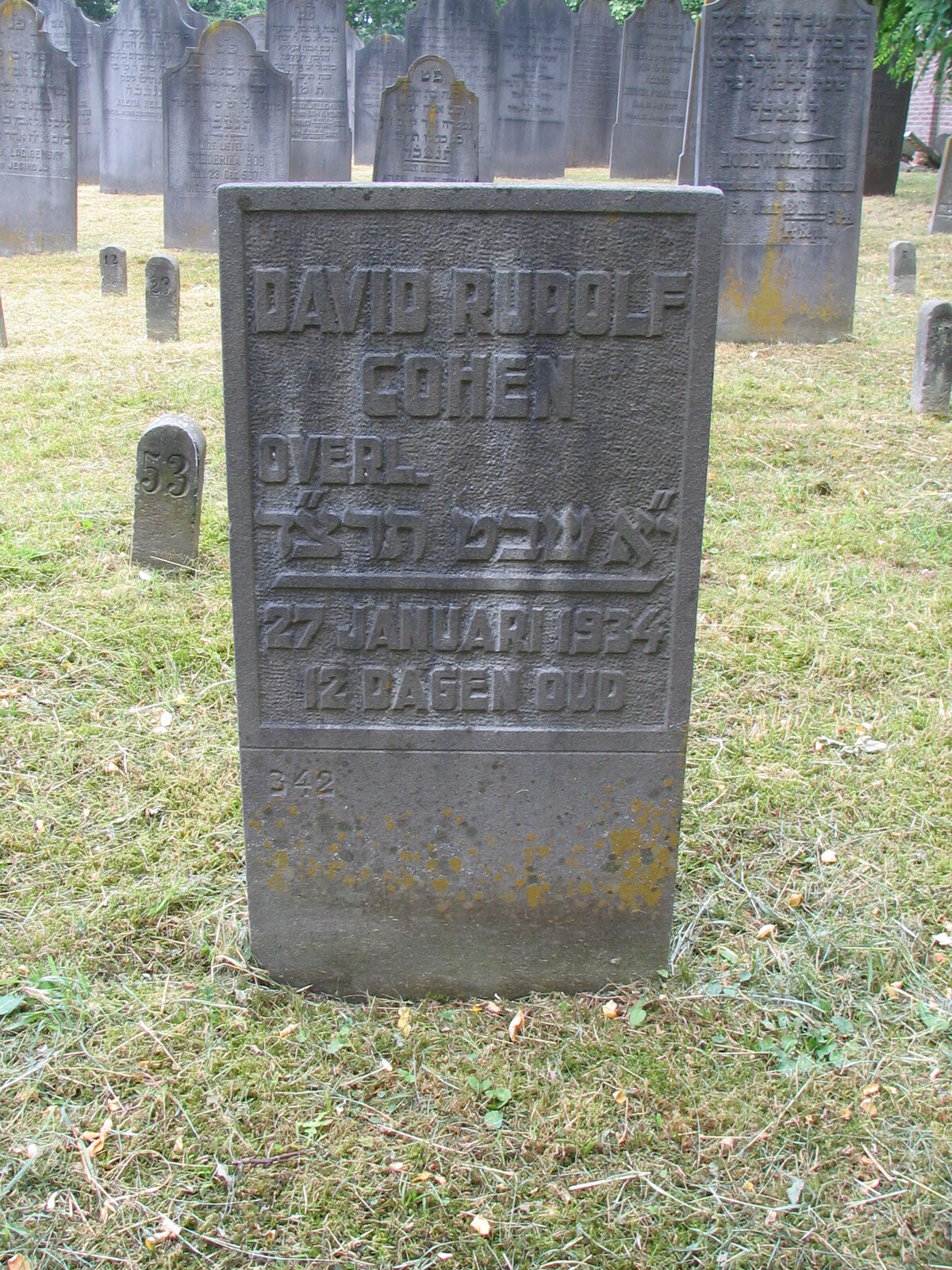 The grave of David Cohen, 1934
